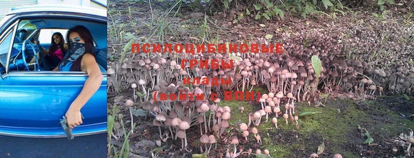 mdma Киренск