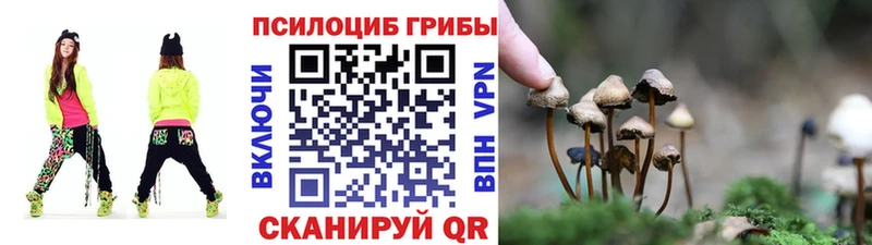 Купить где Углич Галлюциногенные грибы MAGIC MUSHROOMS